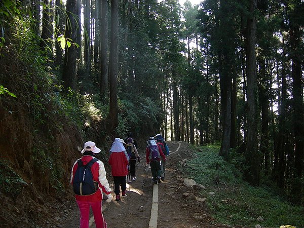 塔塔加鞍部登山活動 021.jpg