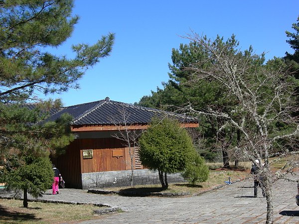 塔塔加鞍部登山活動 113.jpg