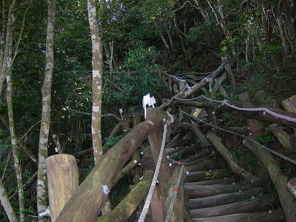 台美社登山隊大坑3號步道登山記 038.jpg