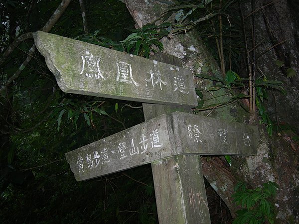 台美社登山隊溪頭天文臺登山記 037.jpg