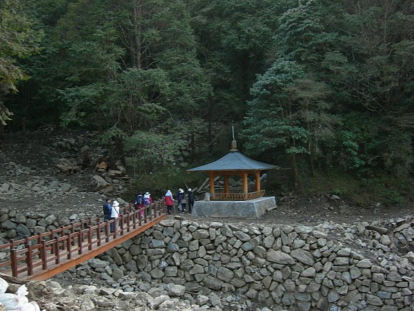 塔塔加鞍部登山活動 024.jpg