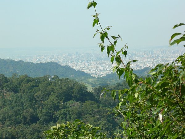 台美社登山隊大坑3號步道登山記 021.jpg