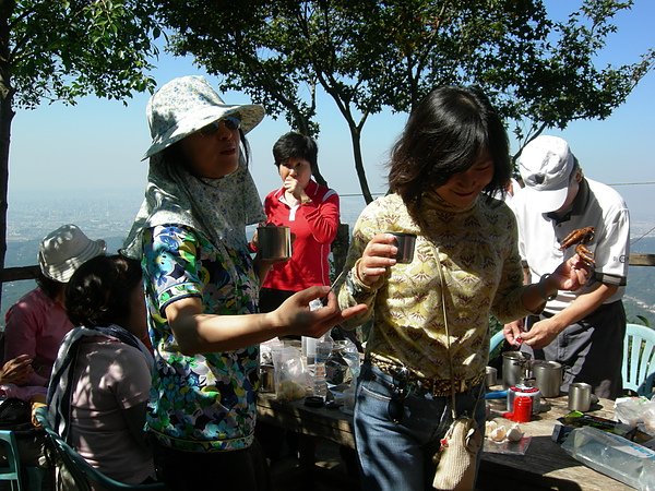 台美社登山隊大坑3號步道登山記 051.jpg