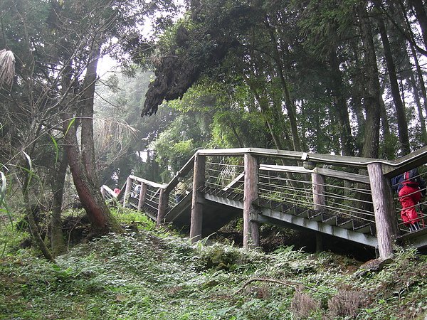 台美社登山隊溪頭天文臺登山記 042.jpg