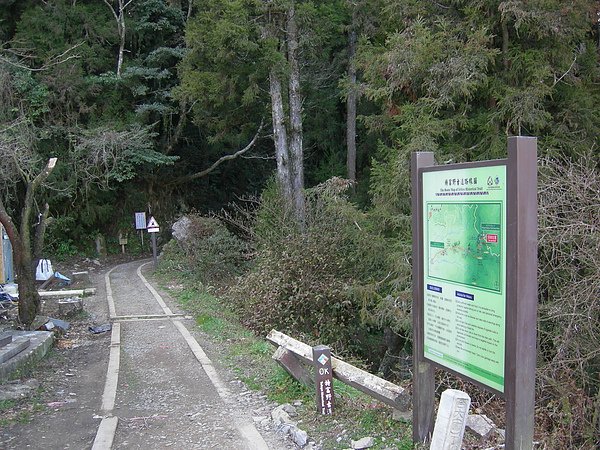 塔塔加鞍部登山活動 019.jpg