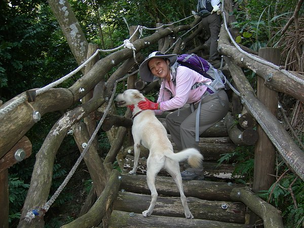 台美社登山隊大坑3號步道登山記 025.jpg