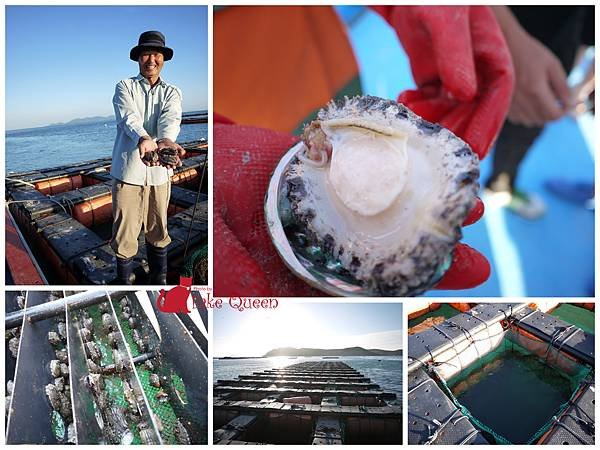 莞島鮑魚養殖.jpg