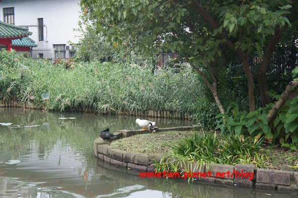 植物園