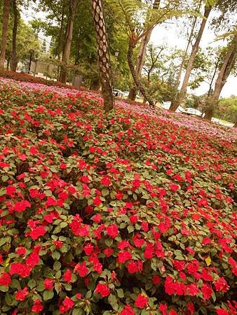 SAM_5276