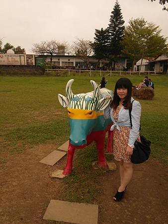 SAM_5311