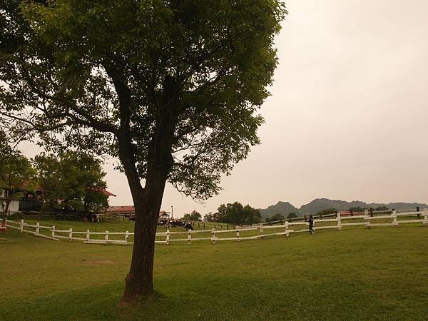 SAM_5312