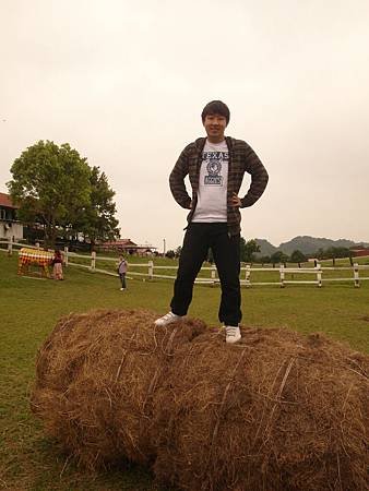 SAM_5324