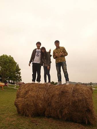 SAM_5327