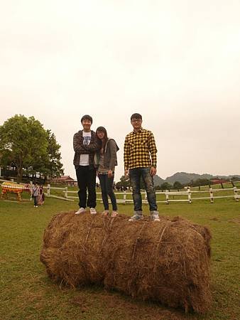 SAM_5328