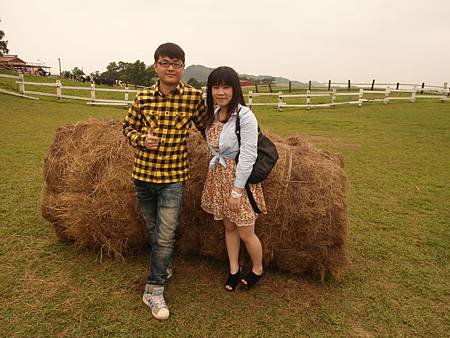 SAM_5331