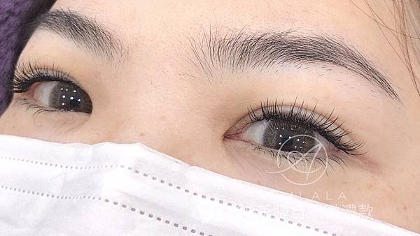Annlala Beauty 3D美睫自然微濃款 2 (1).JPG