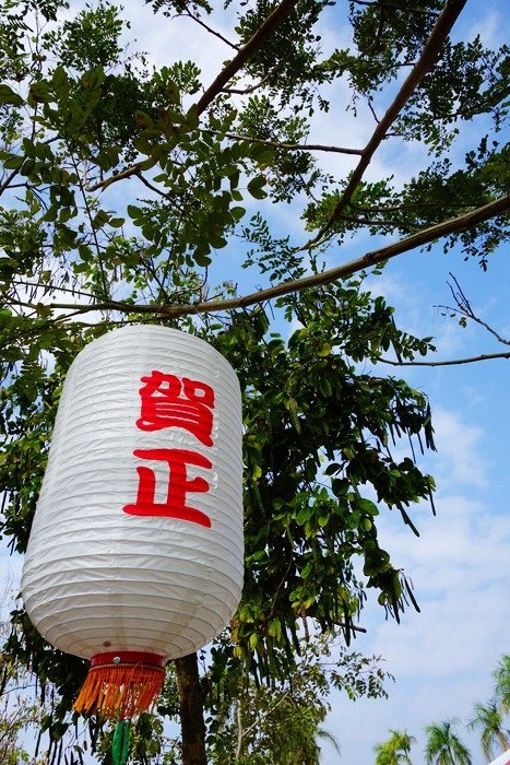 DSC02818_副本_副本.jpg