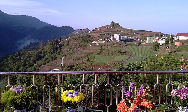 IMAG0081.jpg