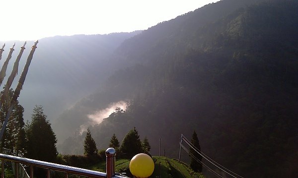 IMAG0082.jpg
