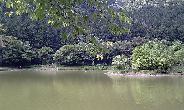 IMAG0064.jpg