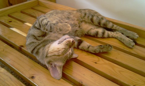IMAG0109.jpg