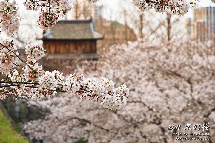 福岡 舞鶴公園