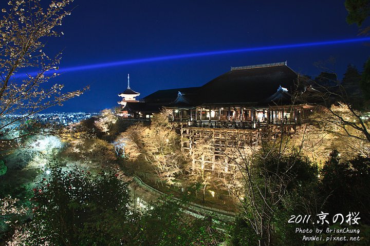 清水寺 夜櫻
