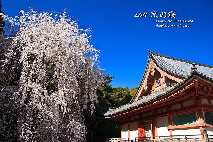 醍醐寺 伽藍 金堂