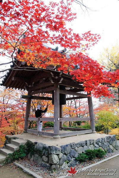 常寂光寺-敲鐘