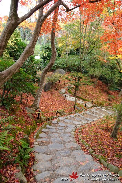 常寂光寺-庭園