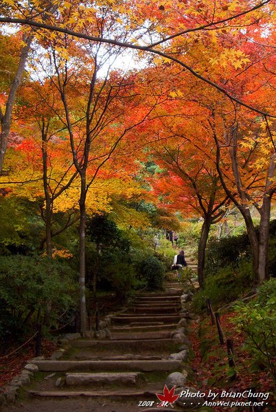 常寂光寺