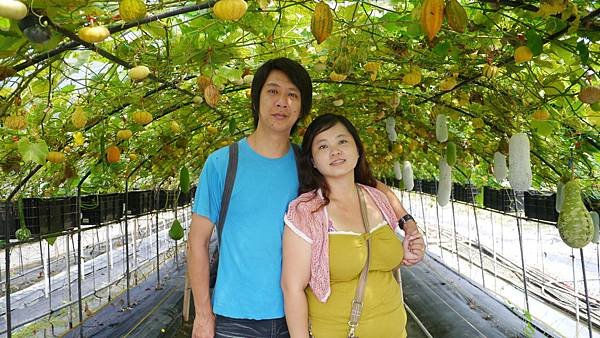 P1020561.JPG