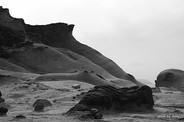 DSC_1726.jpg