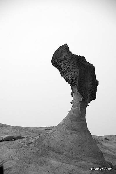 DSC_1751.jpg
