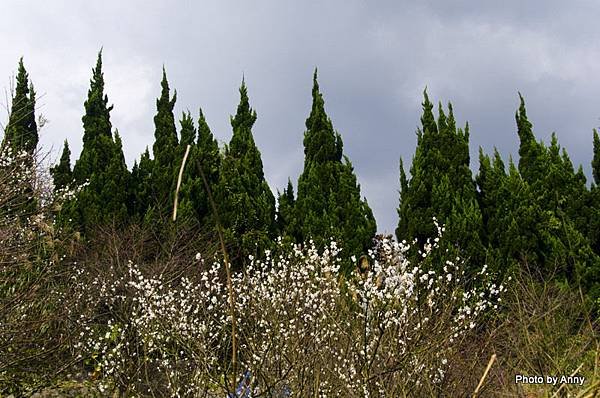 DSC_3534.jpg