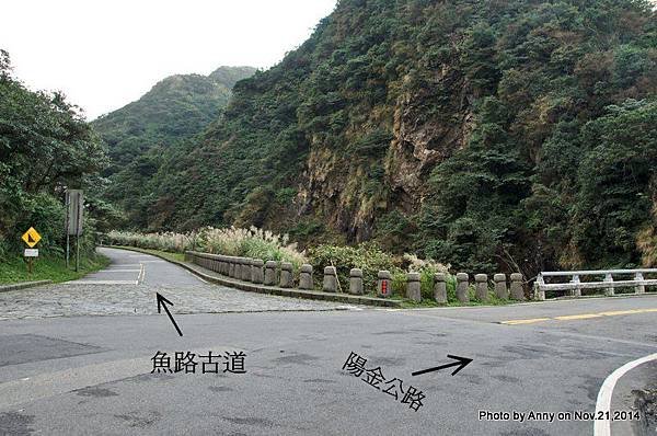 陽明山魚路古道 (45)