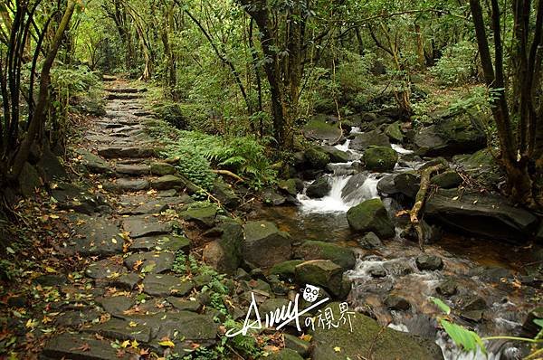 陽明山魚路古道