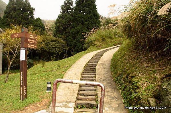 陽明山魚路古道 (2) 陽明山擎天崗