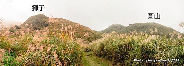 陽明山魚路古道 獅子望圓山