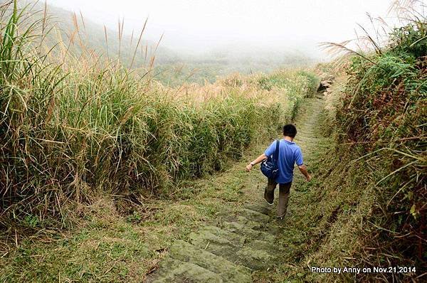 陽明山魚路古道 百二崁