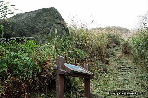 陽明山魚路古道 大石公