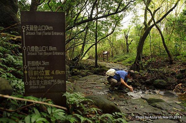 陽明山魚路古道 (19)