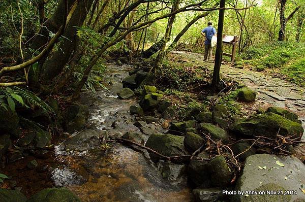 陽明山魚路古道 (20)