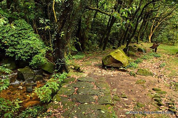 陽明山魚路古道 (21)