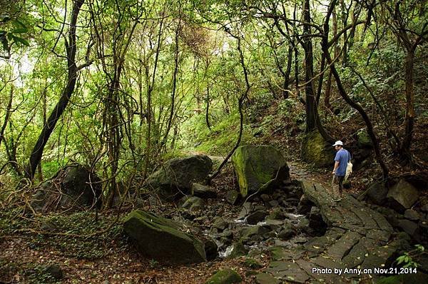 陽明山魚路古道 (25)