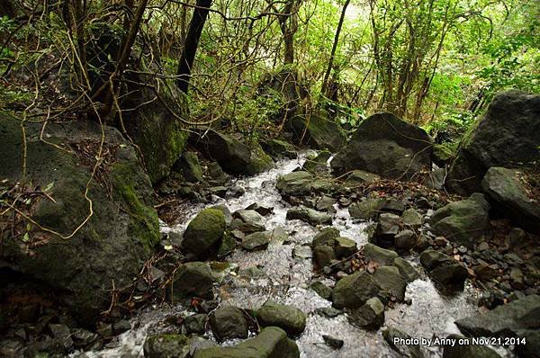 陽明山魚路古道 (26)