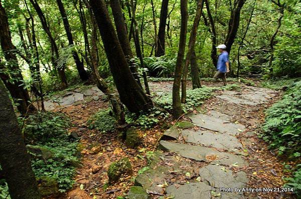 陽明山魚路古道 (37)