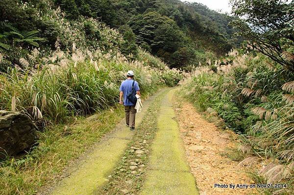 陽明山魚路古道 (40)