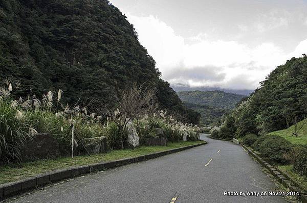 陽明山魚路古道 (43)