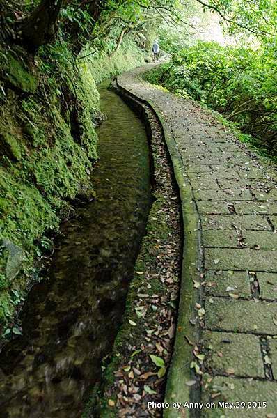 坪頂古圳步道13